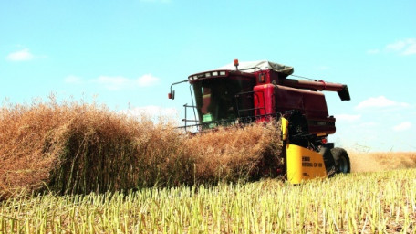 Про програму закупівель зерна майбутнього врожаю  «Державна продовольчо-зернова корпорація України»